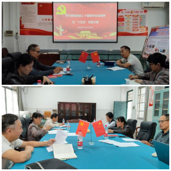 1762154161091019319.png image.png