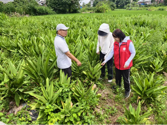 1762240872410020339.png image.png